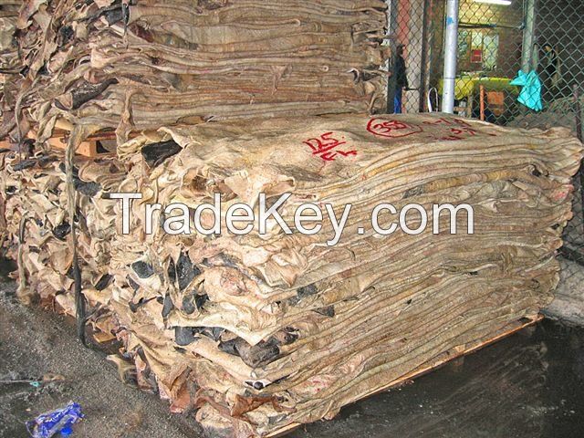 SELL SALTED COW HIDES