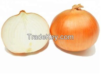 natural/cheap/high quality fresh yellow onion