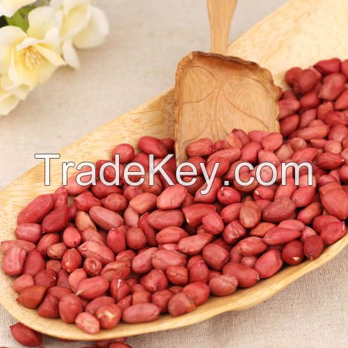 Red Skin Peanuts