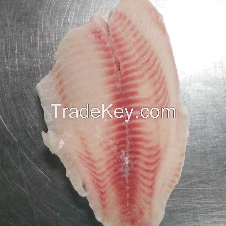 frozen tilapia fish fillet