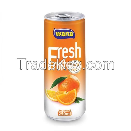 Fresh Orange fruit Juice