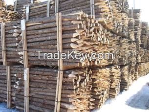 Canadian Northern White Cedar logs and posts with Bark