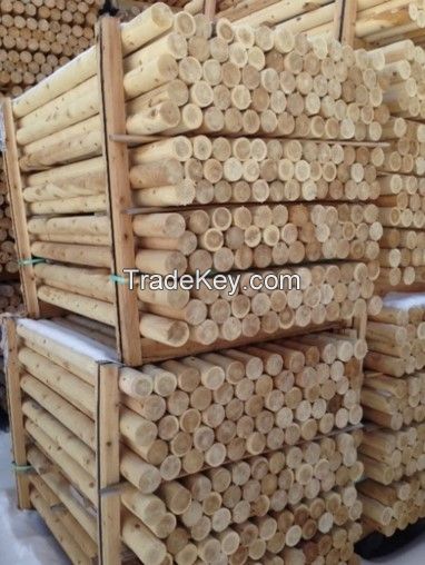 Canadian Northern White Cedar logs and posts straight diameter