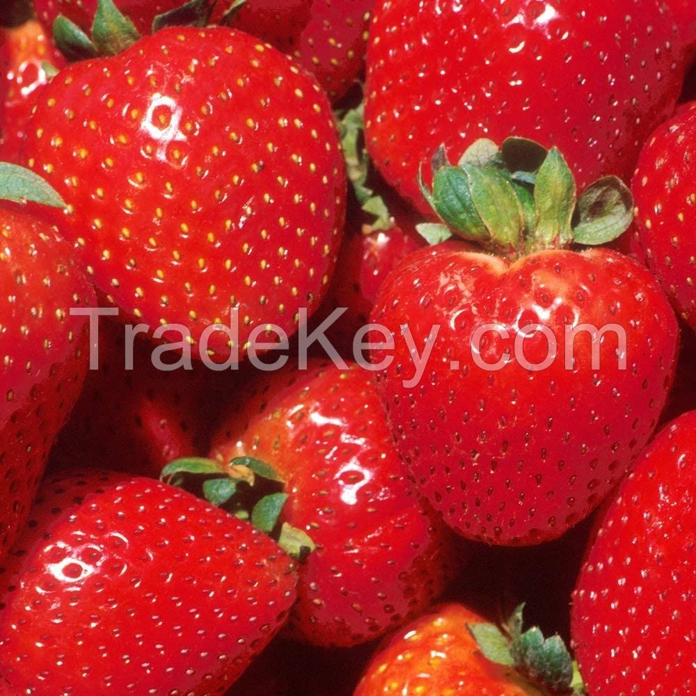 Delicious Fresh Strawberry at Best Price