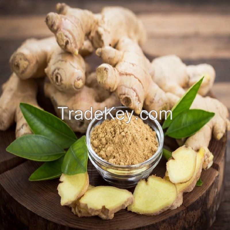 Fresh Ginger For Sale