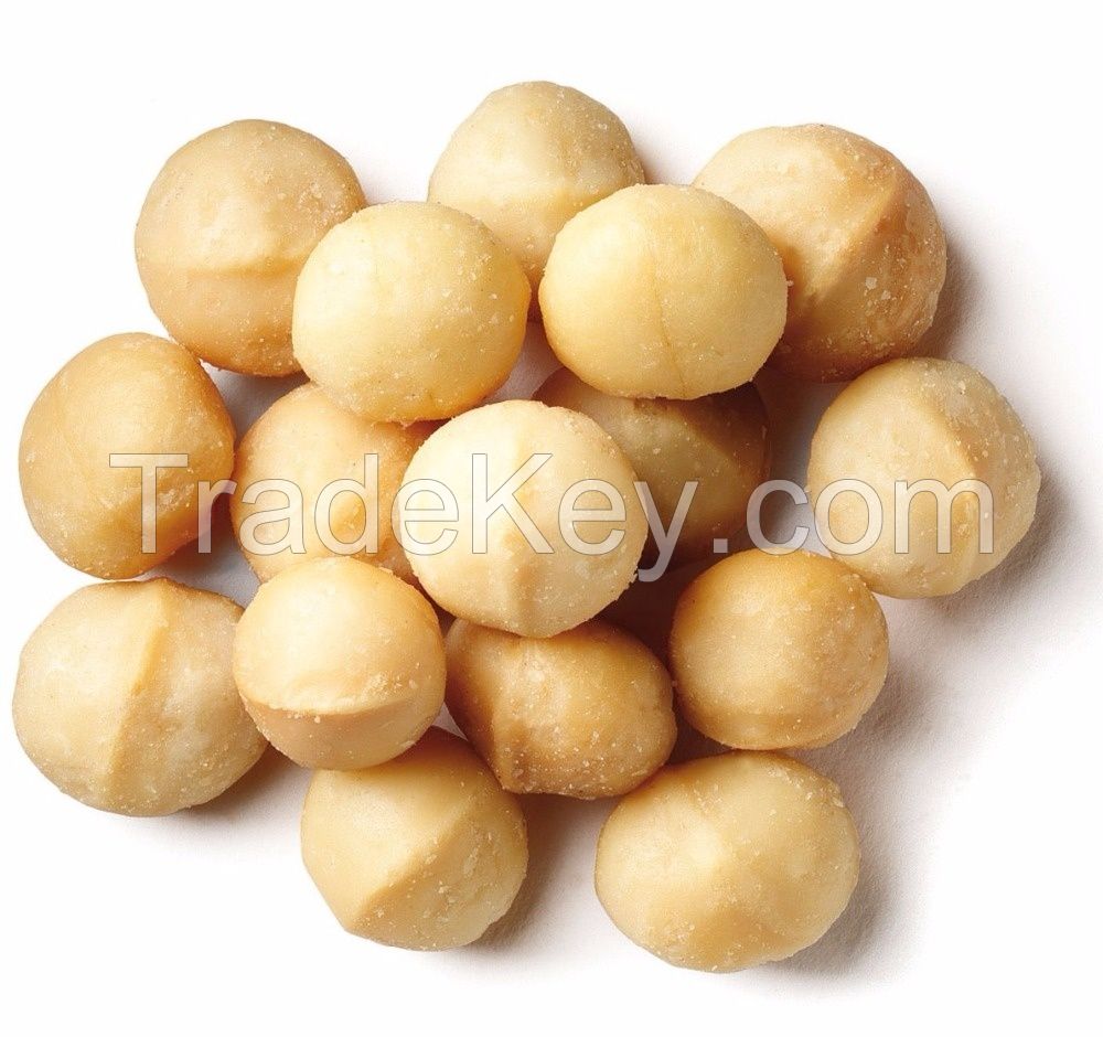 Wholesale Best Price Raw Macadamia nuts/ Roasted Big Kernel Macadamia
