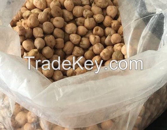 Chickpeas , 7mm 8mm 9mm 10mm 11mm 12mm For Sale