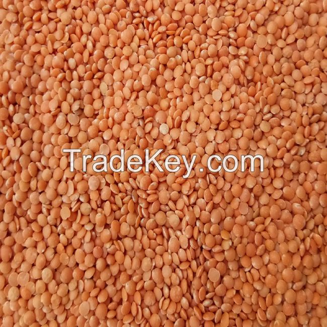 Foot Ball Quality Red Lentils