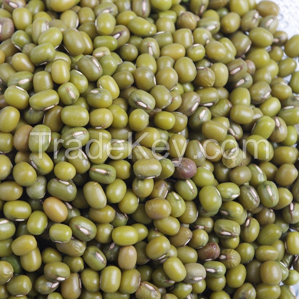 Whole Green Mung Beans