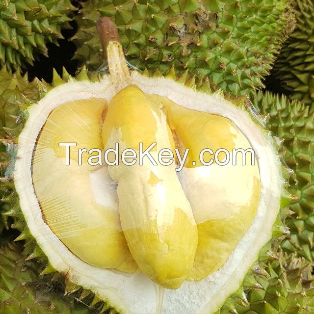 Fresh and Frozen Durian