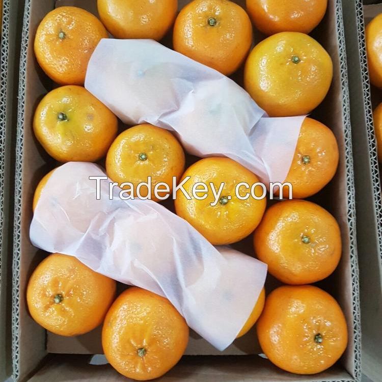 100% Natural Sweet Fresh Navel Orange