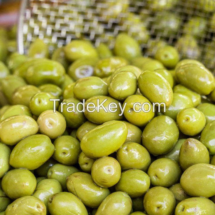 Good Quality Fresh Olives