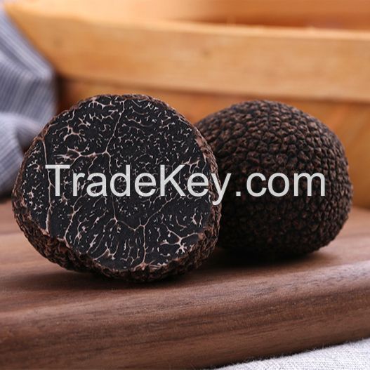 ounium Fresh Matsutake Mushroom Dried Truffle Truffles