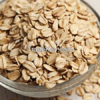 Wholesale Large Flake Rolled Oats For Sale.