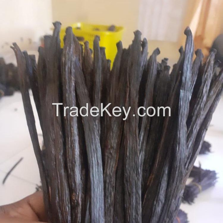 Vanilla Beans for sale