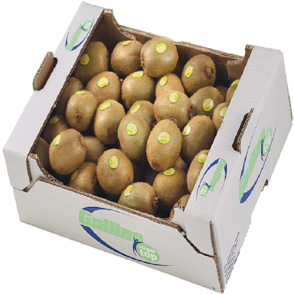 Top Quality fresh kiwi from south Africa