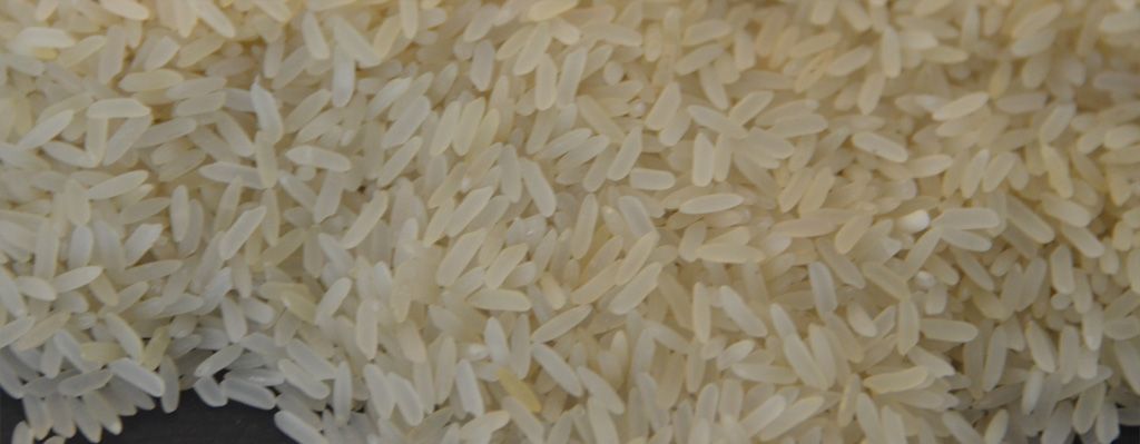 IRRI 6 Long Grain White Rice 5% borken