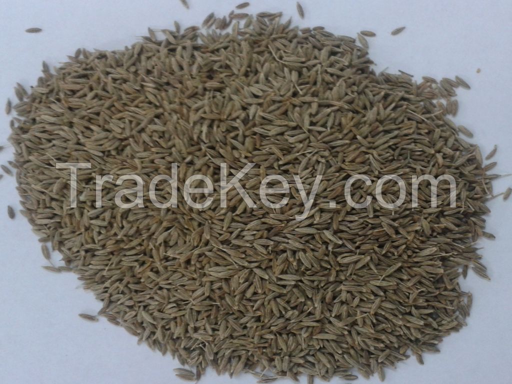 Cumin Seeds