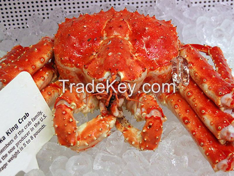 live and frozen king crab, snow crab and mud crab