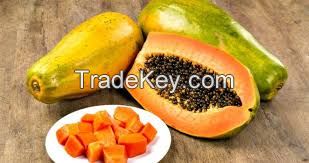Fresh Papaya Available