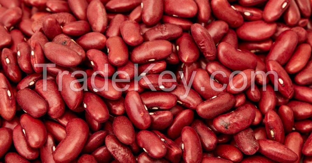 KIDNEY BEANS