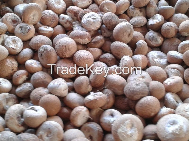 Dried Areca Nut-Whole and Split Betel Nut
