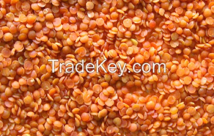 Red Split Lentils