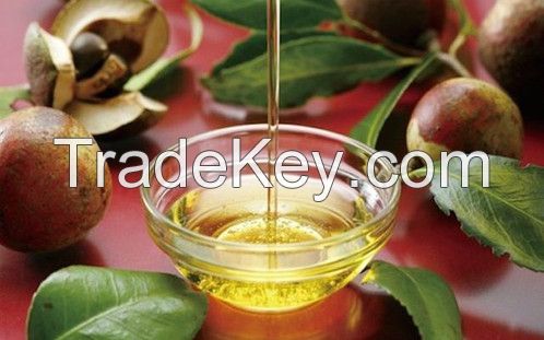 HACCP certificated 100% pure natural camellia seeds cold pressed camellia oil