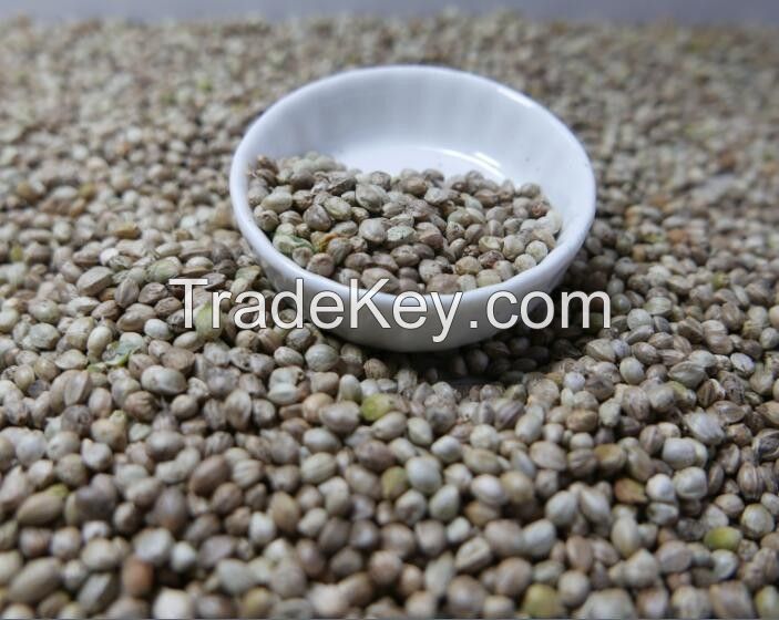 Hemp Seeds