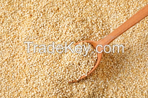 Highest Quality Quinoa Grain