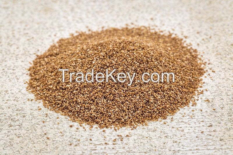 Teff ORGANIC Grain High Quality