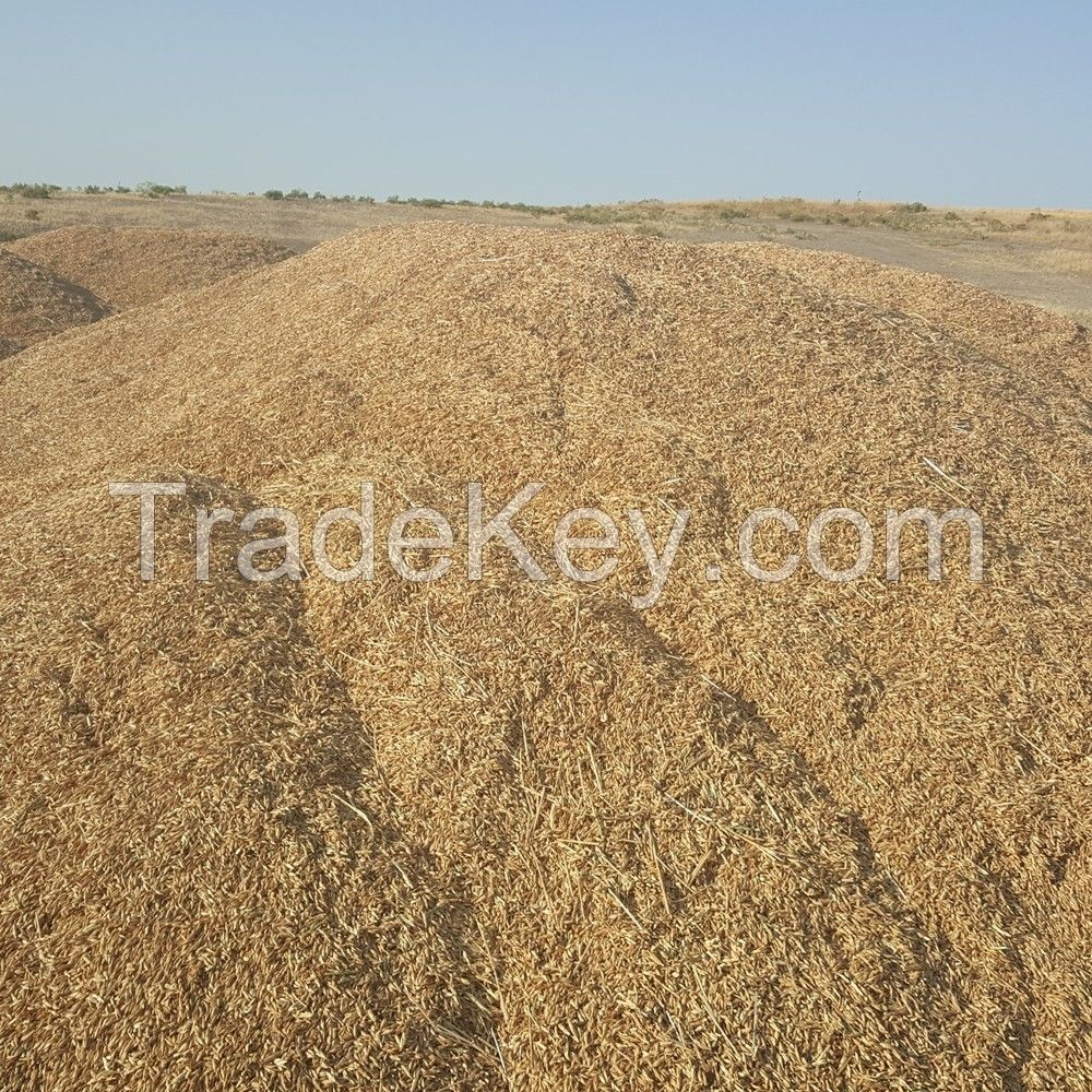 EINKORN GRAIN AND FLOUR