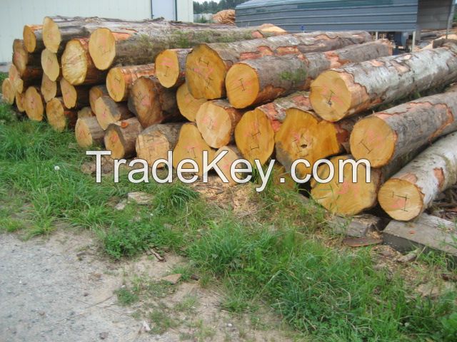 alder (red birch) logs