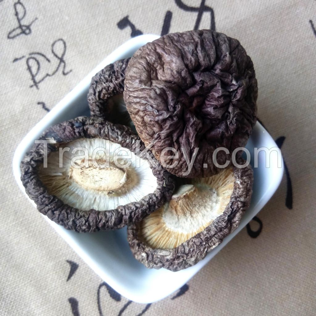 organic dried shiitake mushroom with brown color