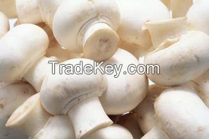 Frozen Fresh White Beech Button Mushroom