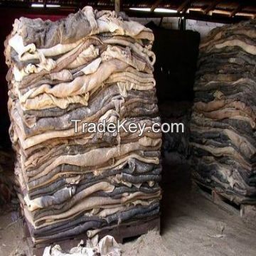 Donkey Hide, Dry and Wet Salted Donkey/Wet Salted Cow Hides