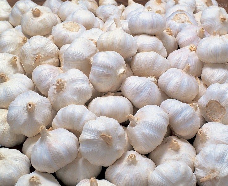 We Are offering 40.000 kg fresh garlic