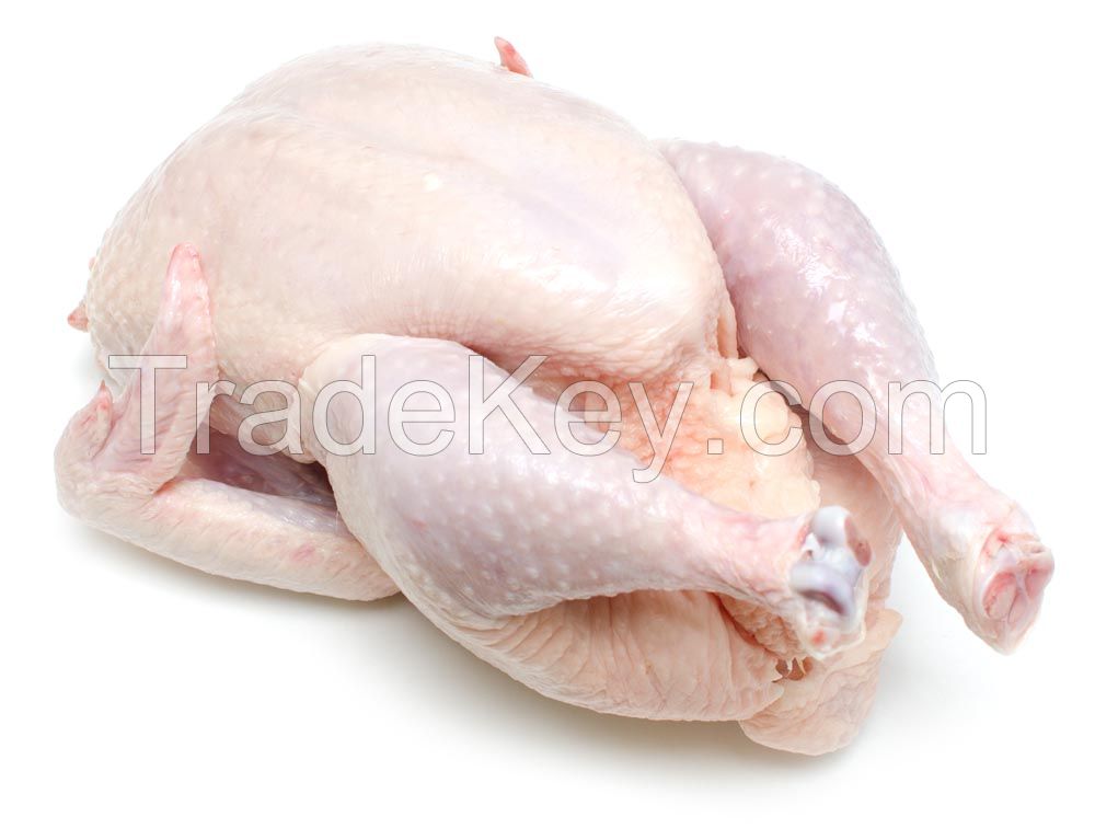 HALAL FROZEN CHICKEN FOR SALE