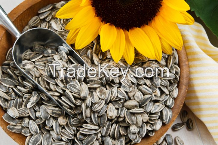 sunflower seeds type5009 market price