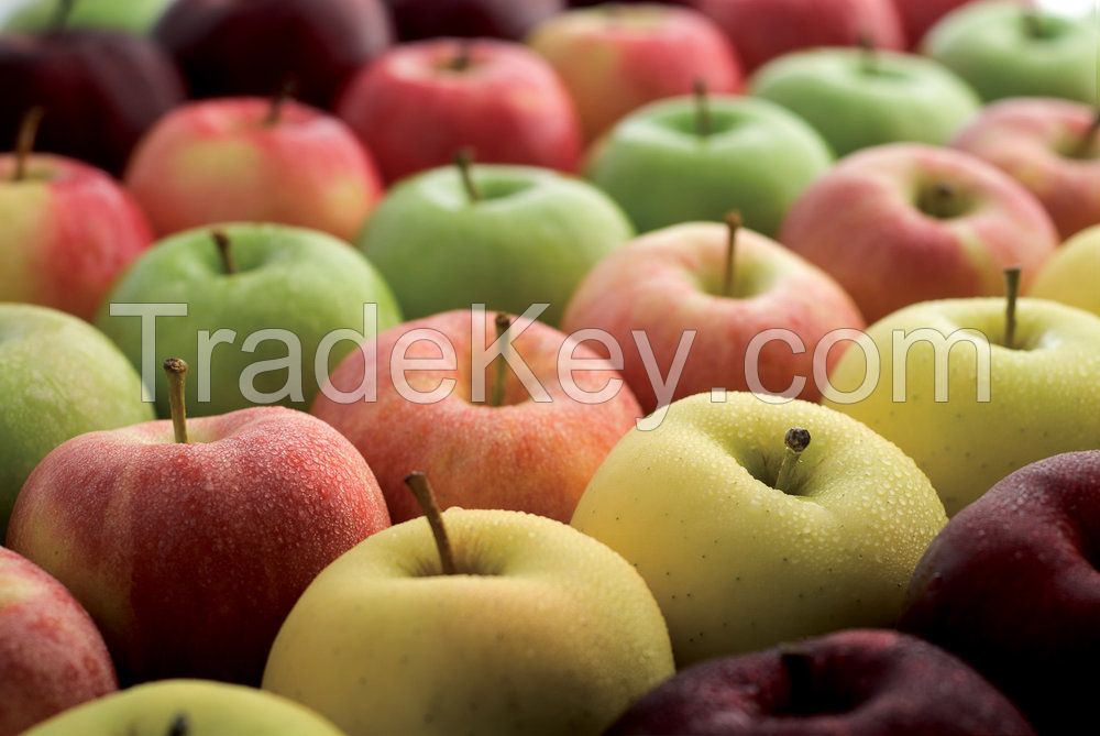 fresh fruits red apples