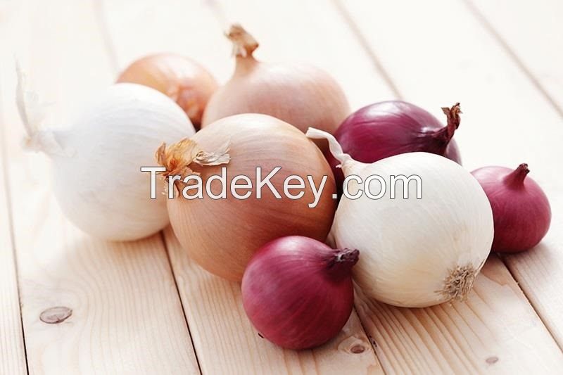 new crop fresh red and yellow onion, high qulity with lower price fast delivery