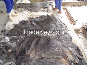 Quality Dry Donkey Hides, Wet Blue Cow hides and wet salted cow hides available .