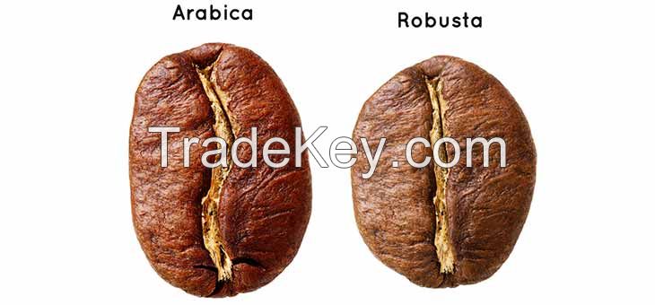 Coffee Beans , Arabica and Rebusta Coffee Beans , Natural Organic Unroasted Arabica Coffee Bean