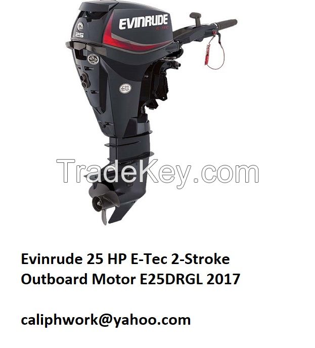 Evinrude 25 HP E-Tec 2-Stroke Outboard Motor E25DRGL 2017