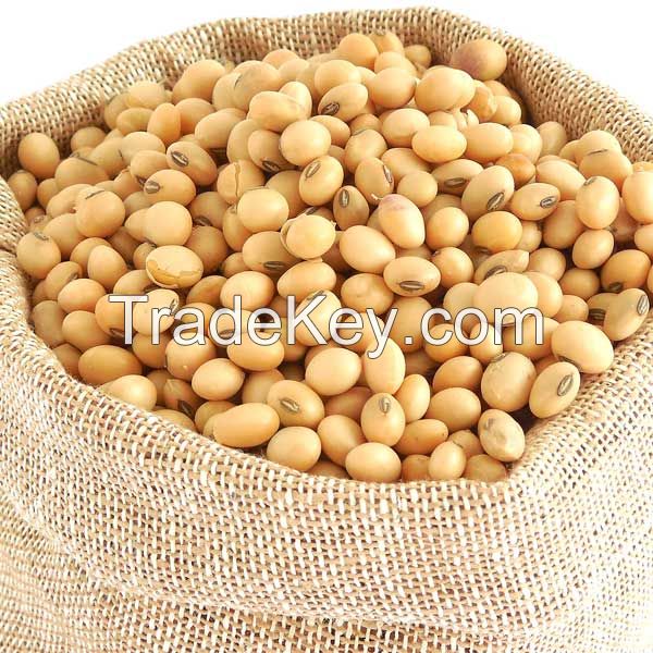 SOYA BEANS