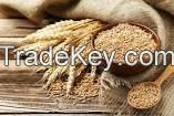 SELL best quality Wheat grain for sale at cheap price