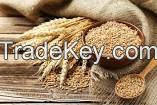SELL Wheat