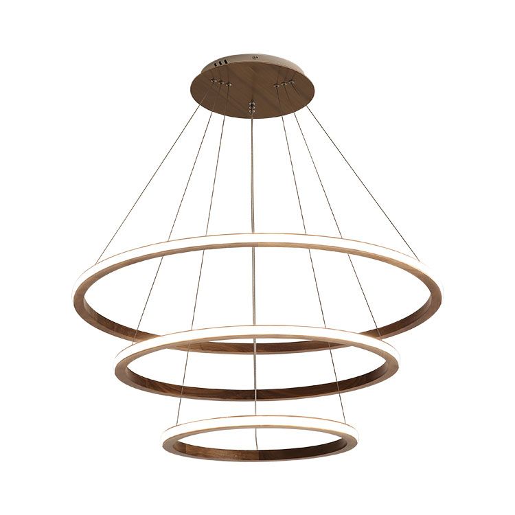 Decorative Designer Morden Hanging Lamp Indoor Ring Copper LED Pendant Light