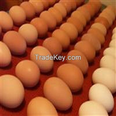 Fresh chicken Table Eggs(white/Brown)
