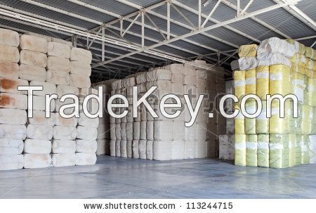 raw cotton shankar6 quality